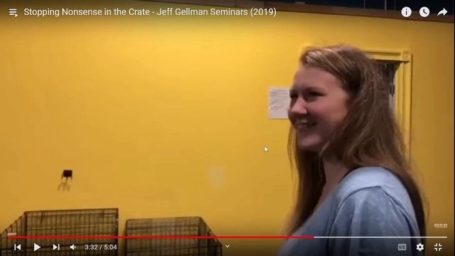 Jeff Gellman and Shock Collars - Dog Trainer Reviews смотреть онлайн