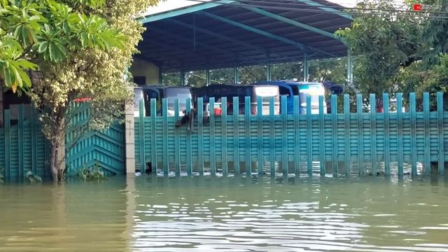 Potret Garasi Po Nusantara dan Po Handoyo Pasca Terendam banjir !! смотреть онлайн
