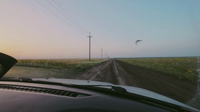 030724_За рулем