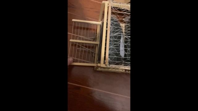 Видео друзей смотреть онлайн