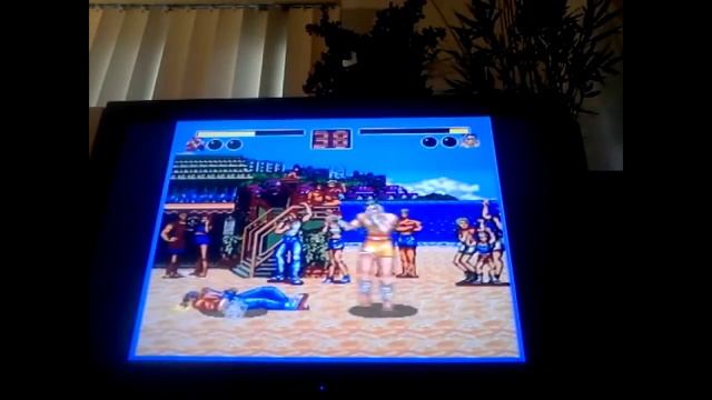 Fatal Fury: David Vs.Goliath смотреть онлайн