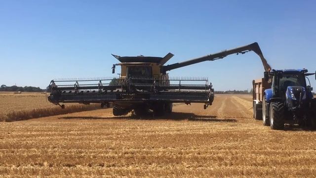 New Holland CR 9.90 with MacDon Flex Header. Demo Day Mickfield Suffolk 10 th August 2022 смотреть онлайн