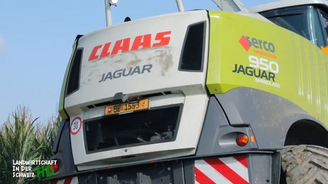 Maisernte 2017 - Claas Jaguar 950 - Shredlage - Fendt - New Holland - Landtechnik Schweiz смотреть онлайн