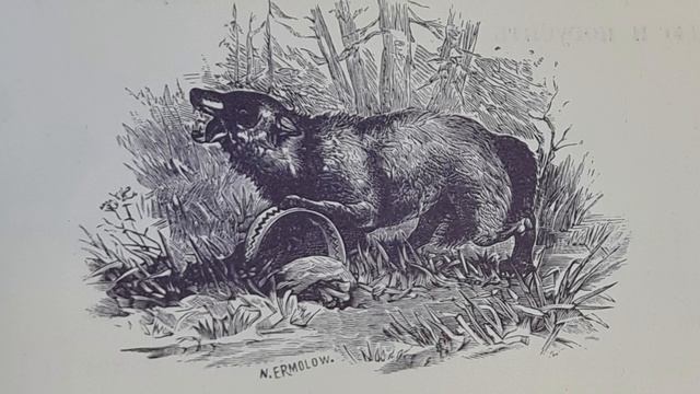 Русская народная сказка. «За что Медведь, Волк, Лиса и Слепень на мужика рассердились». смотреть онлайн