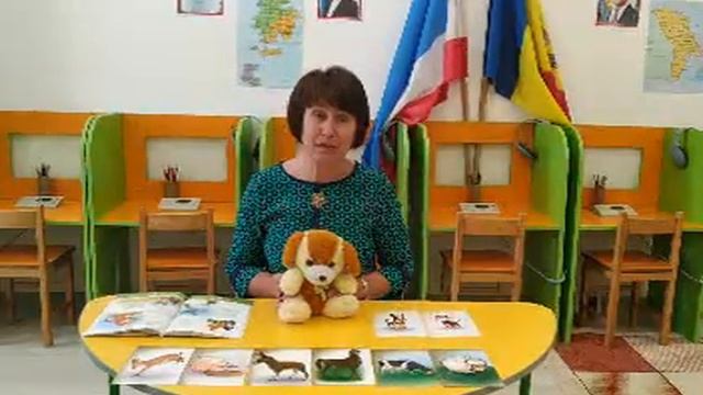 Урок гагаузского языка в детском саду Dostluk смотреть онлайн