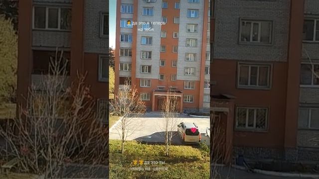 в комменты смотреть онлайн