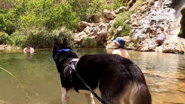 Sitting Bull Falls - Lincoln National Forest - Carlsbad, New Mexico смотреть онлайн