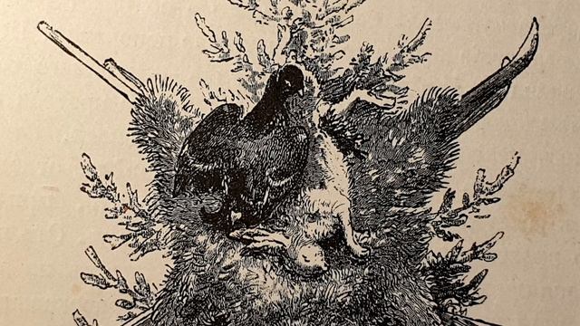 Разсказы охотника Матьяса смотреть онлайн