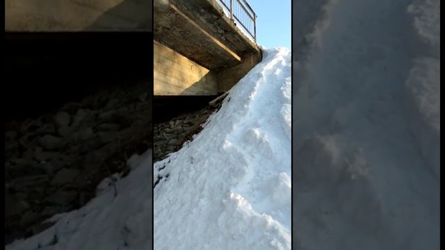 Котенок леопарда вышел к автодороге смотреть онлайн