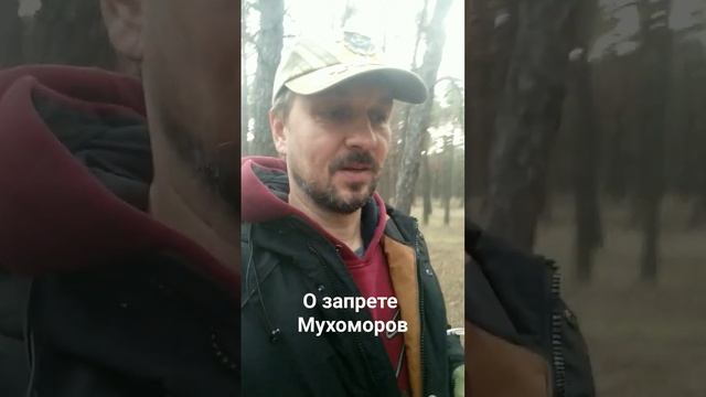 Запретят ли мухоморы? телеграмм https://t.me/Muhomar смотреть онлайн