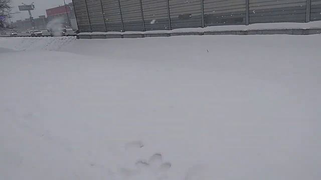 В Москву вернулась зима.Банок мало. смотреть онлайн