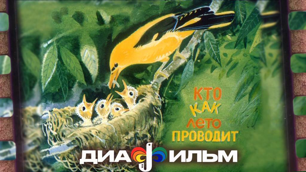 Диафильм СССР. Кто как лето проводит. 1988 год. смотреть онлайн
