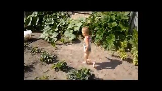 Цып цып мои цыплятки! смотреть онлайн
