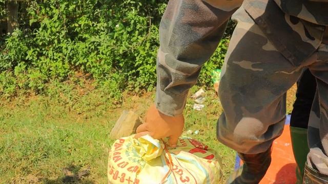 Harvesting Custard Apple, Transporting Raw Materials To Build A New Farm