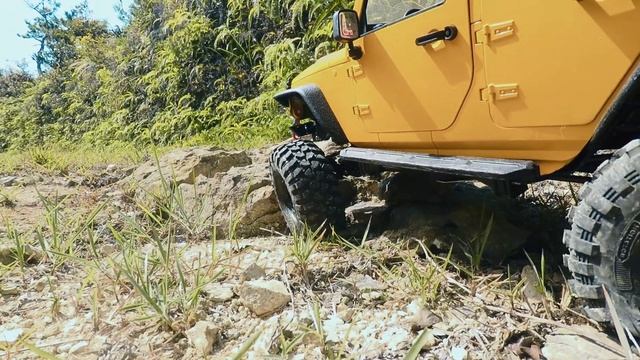 RC Crawler Traxxas TRX4 Jeep Wrangler JK Open Top Deep Forest Trailing 093 смотреть онлайн