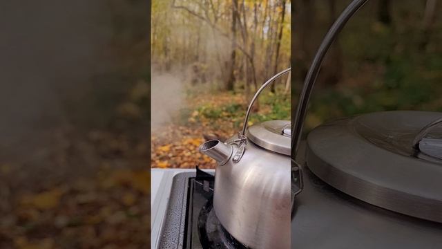 Осенний лесной чай. Бутовский лес. Октябрь 2024г.mp4 смотреть онлайн