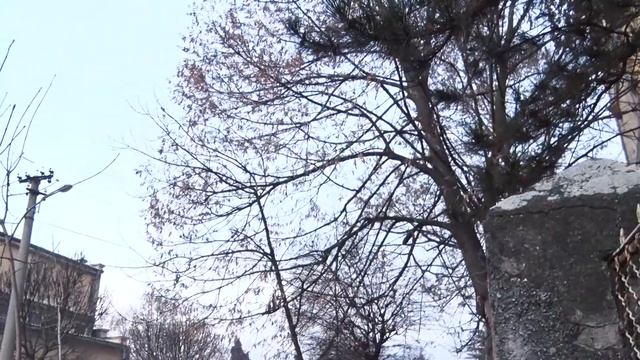 MARIJA - Bezuslovno смотреть онлайн