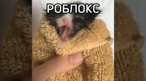 Роблокс мама удалила