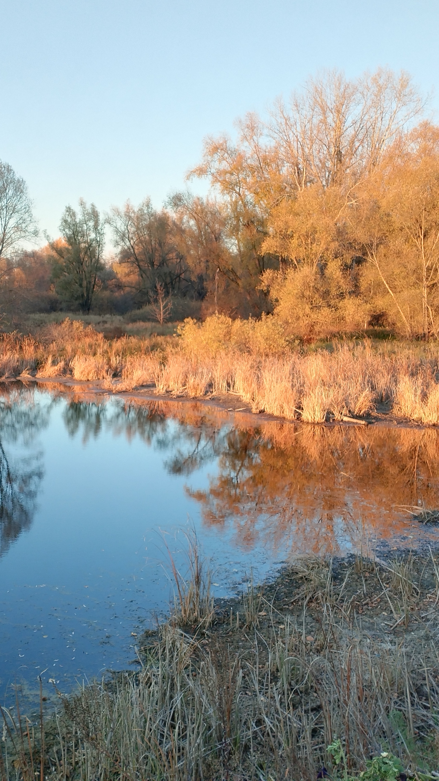 Стишок-смешок смотреть онлайн