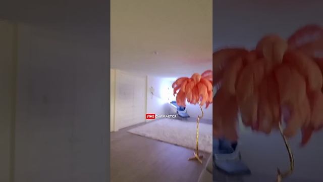 Купила очки с камерой от Ray-Ban Meta #sashabelair смотреть онлайн