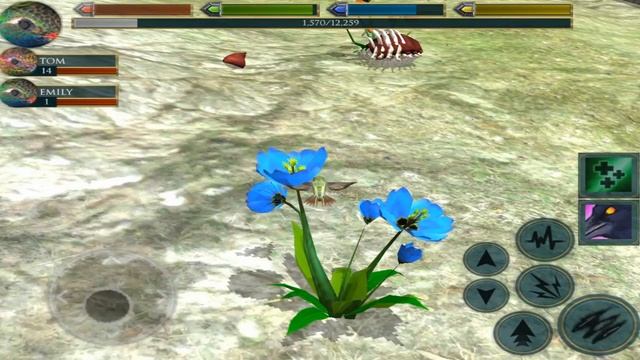 Ultimate Bird Simulator - Life of Hummingbird - Android/iOS - Gameplay Part 12 смотреть онлайн