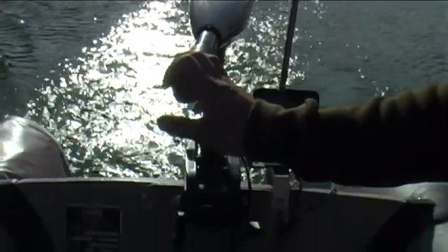 JAROCELLS introduction смотреть онлайн