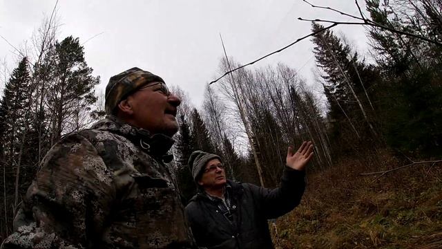 в гостях у знакомых птицеловов смотреть онлайн