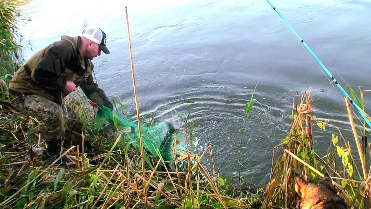 РЫБАЛКА ЗАШЛА СЛИШКОМ ДАЛЕКО! КУДА МНЕ СТОЛЬКО РЫБЫ? НОЧЬ В МЕШКЕ.