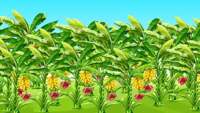 Crow's dream apple | Tamil stories | Tamil moral stories | Beauty Birds stories Tamil | birds story смотреть онлайн