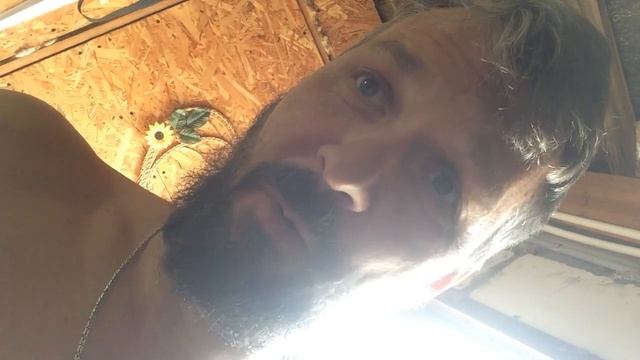 Гриб ежовик вкусный и полезный. смотреть онлайн