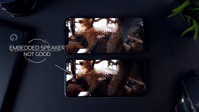 iPhone12 vs Pixel 5 - Which Phone is Better?? смотреть онлайн