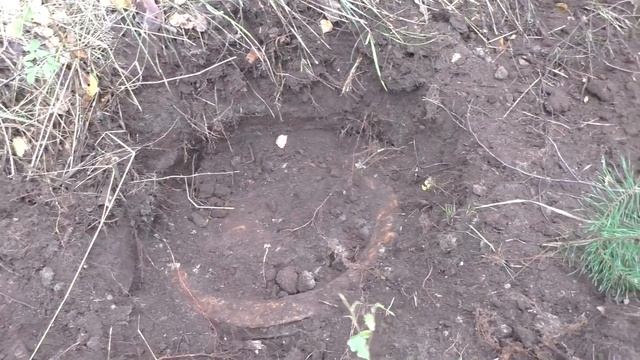 Ночь в лесу, и всё из-за металлолома! смотреть онлайн