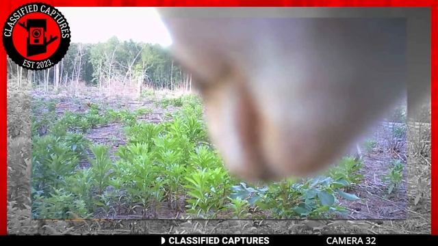 Shocking Trail Cam Footage You Absolutely MUST See смотреть онлайн