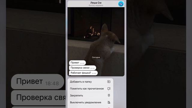 Вдруг вы не знали смотреть онлайн