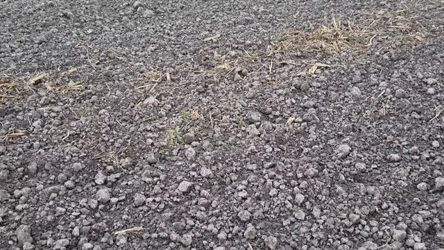 Amazing Roman Artifacts on Misty Field #48 смотреть онлайн