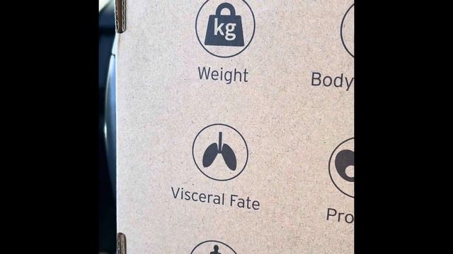 Bveiugn Body Fat Scale смотреть онлайн