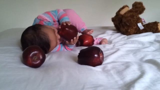 Baby eating apple funny смотреть онлайн