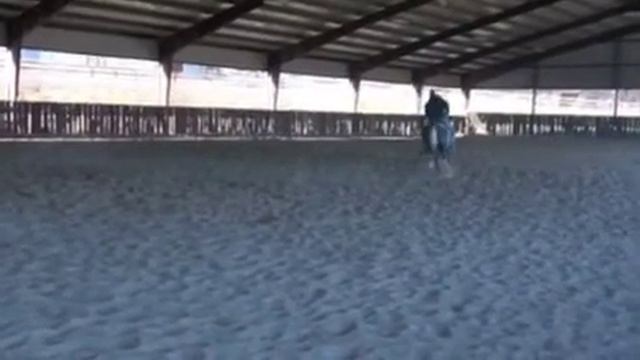 Jac Spin Dunnit смотреть онлайн