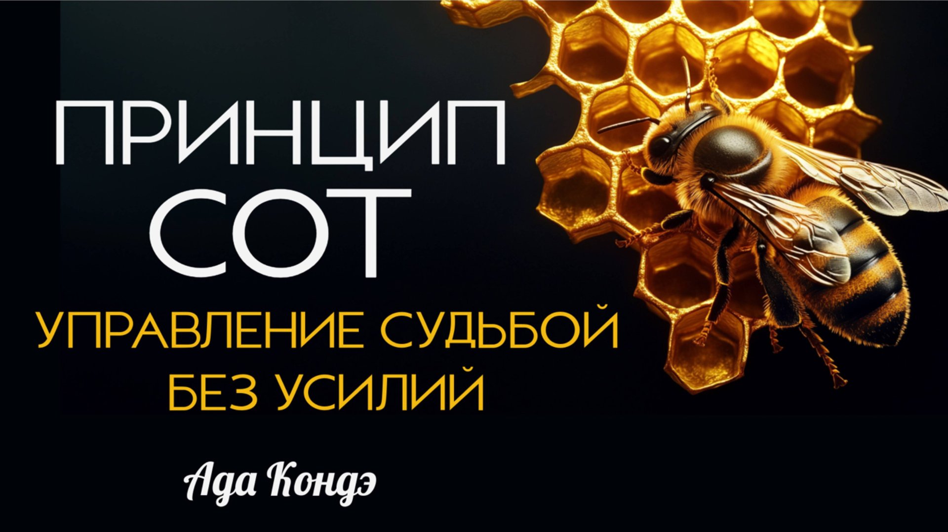 УПРАВЛЕНИЕ СУДЬБОЙ БЕЗ УСИЛИЙ. ПРИНЦИП СОТ И БЕССОЗНАТЕЛЬНОЕ. Ада Кондэ смотреть онлайн
