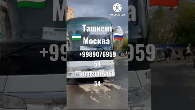 Автобус Ташкент Москва #москва #ташкент #автобус смотреть онлайн
