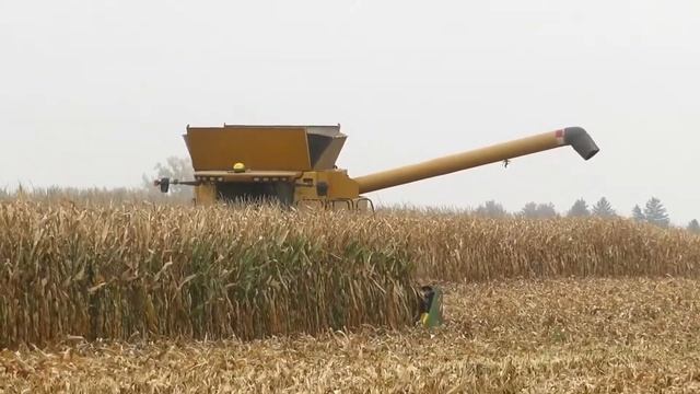 Harvest 2020 | Challenger 660B Combine Harvesting Corn | Corn Harvest 2020