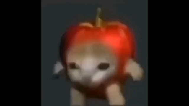 apple cat running 1 hour смотреть онлайн