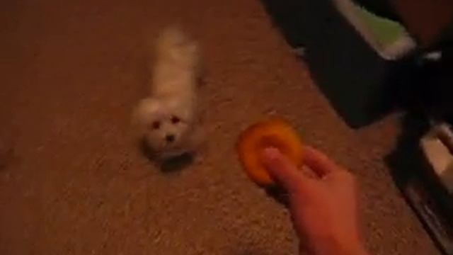 Penspinning in My Life смотреть онлайн