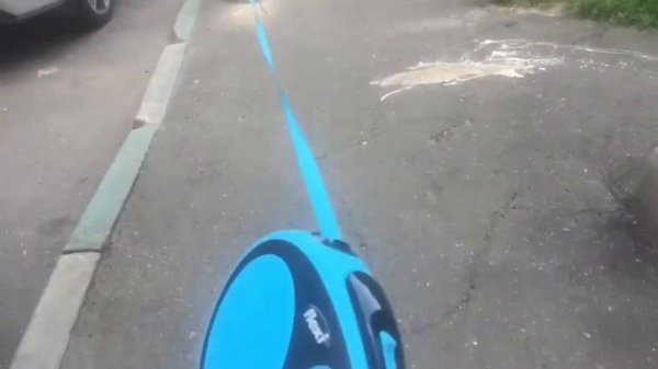 Обзор на рулетку flexi