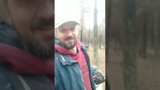 Сбор мухоморов. смотреть онлайн