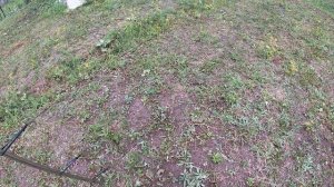 Тест сетки 10 на 3,2 м 15 мм ячейка 0,08 мм Розыгрыш этой сетки в подарок