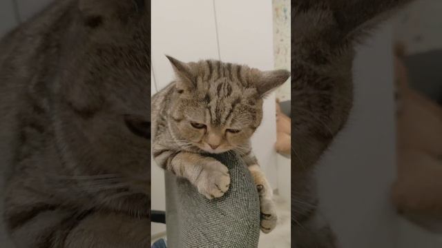 Сам у себя смотри