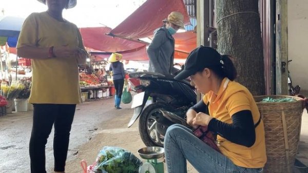 Harvesting a super giant custard apple garden to sell at the market -Gardening - Sen Daily life