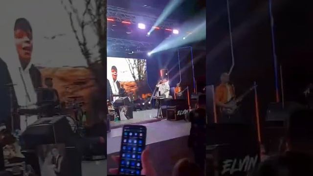 Весь зал поет Элдермеш #elvingrey смотреть онлайн