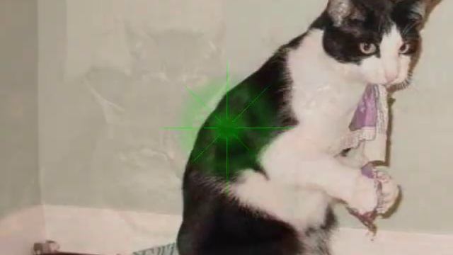 Päris Anny See on elu смотреть онлайн